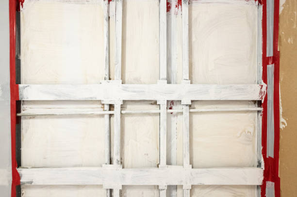 Best Real Estate Mold Inspection  in South Shore, KY