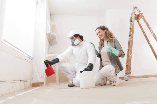 Best HVAC Mold Inspection and Cleaning  in South Shore, KY