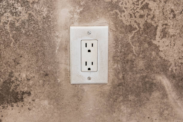 Forensic Mold Investigation in South Shore, KY